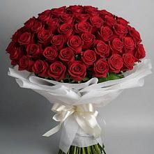 Букет 101 Красная роза Блэк Мэджик #REPLACE_PRED# Георгиевске