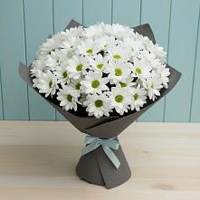 Букет цветов из:  Хризантемы в Георгиевске