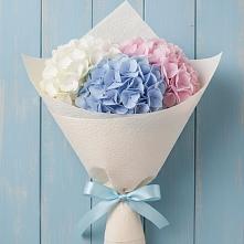 Букет цветов из:  Гортензия в Георгиевске