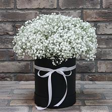 Цветочная композиция из Гипсофила в шляпной коробке в Георгиевске
