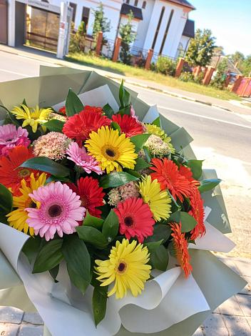 Букет цветов из: Герберы в Георгиевске